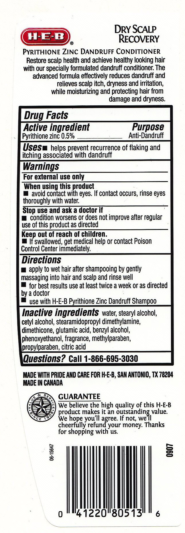 Dandruff Conditioner Dry